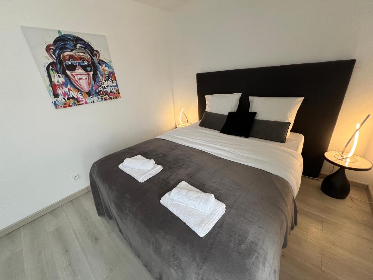 Le Cannois, Appartement De Star 3 Chambres Мюлуз Экстерьер фото